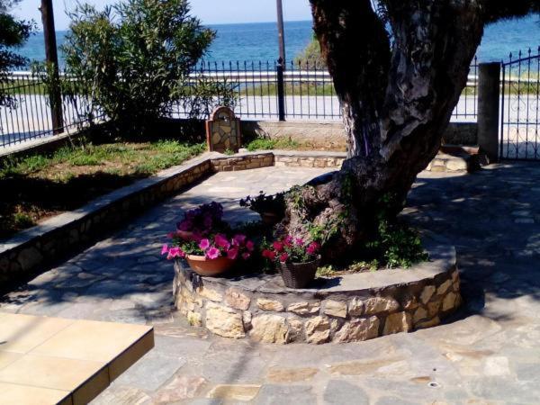 Aegialis Villa Skála Kallirákhis Екстериор снимка